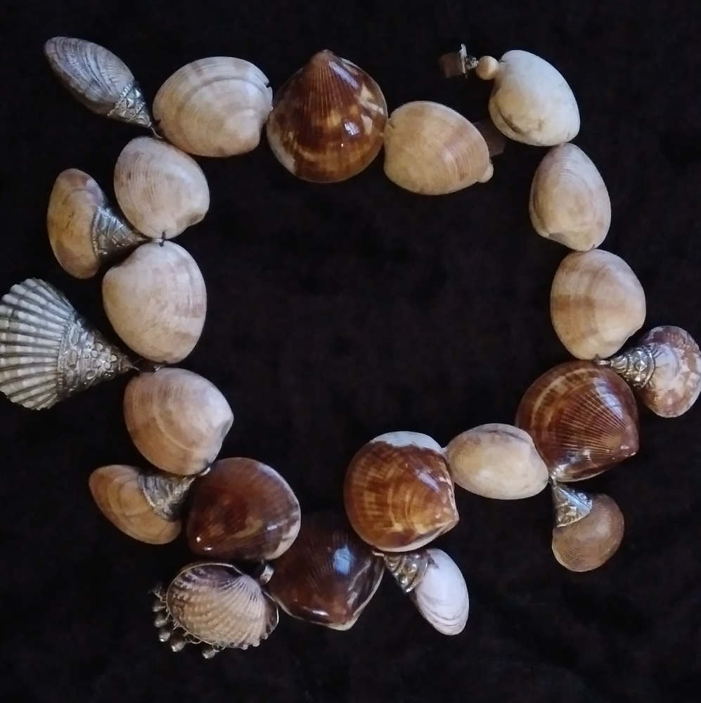Shell and silver necklace